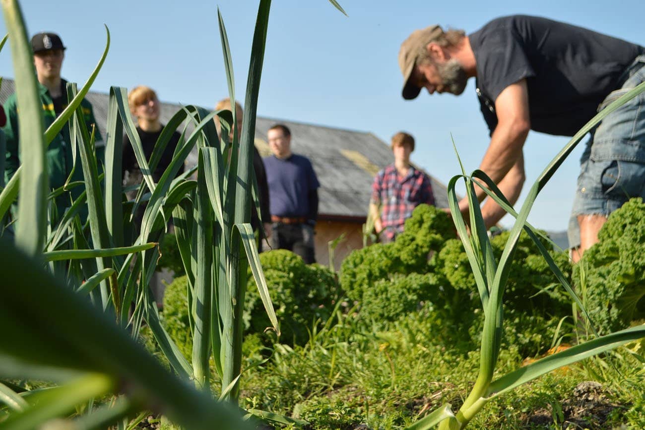 Teacher and students in Organic Farming at Fosen Folk school in a field of kale and leeks