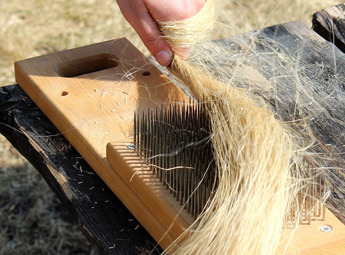 Turning flax plants into linen fibres using traditional techniques