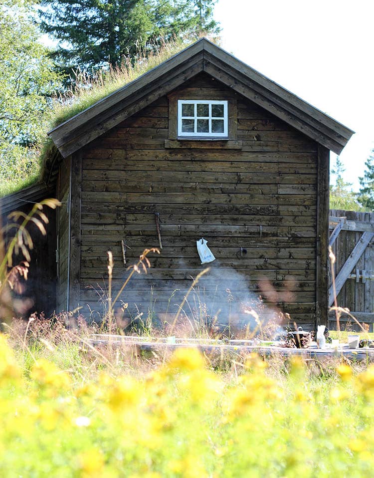 the cozy cabin at our highland pasture