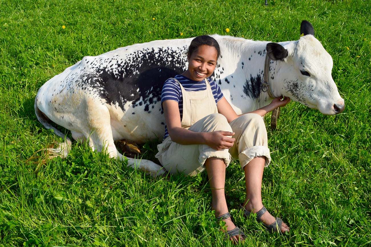 Girl and cow relaxing in the field